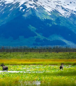 banf national park, north America - Cadillac Travel, Detroit, MI