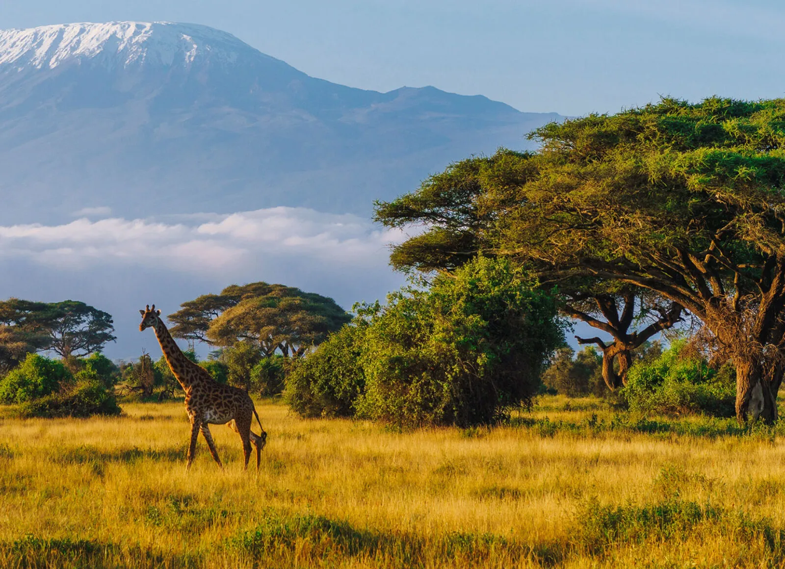 Mount Kilimanjaro - Cadillac Travel