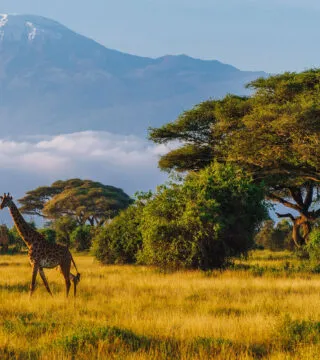 Mount Kilimanjaro - Cadillac Travel