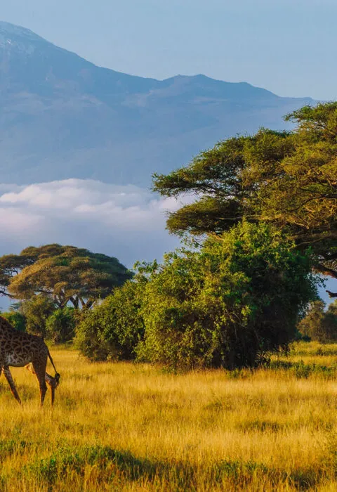 Mount Kilimanjaro - Cadillac Travel