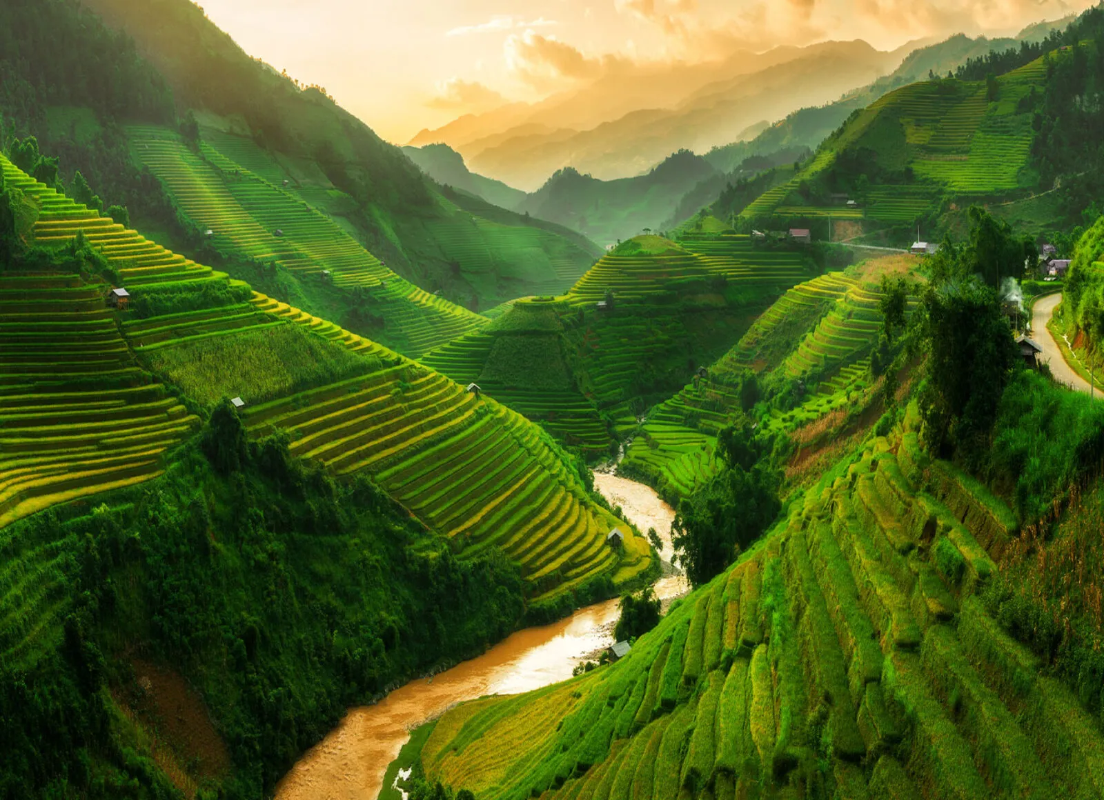 Rice fiels - Cadillac Travel