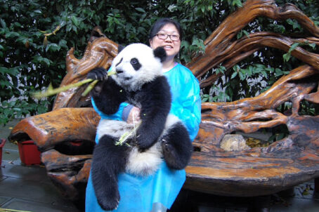 Tony Hong-Chan - Cadillac Travel, Detroit, MI