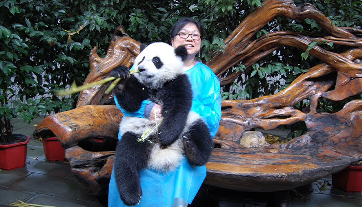 Tony Hong-Chan - Cadillac Travel, Detroit, MI