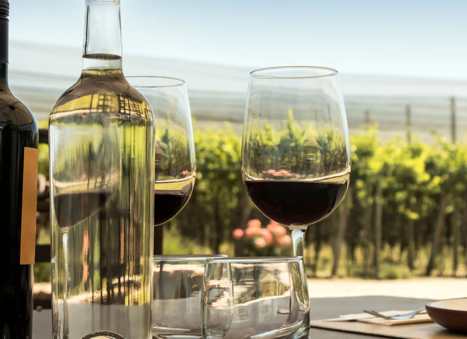 Enjoying wine on a vineyard - Cadillac Travel