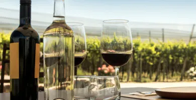 Enjoying wine on a vineyard - Cadillac Travel